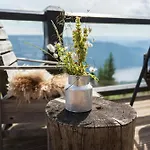 Large For 20 By Norefjell Noresund
